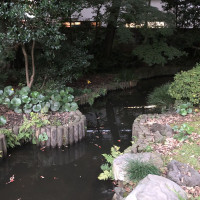|4878| | Zahrady Tokio Kyu Furukawa