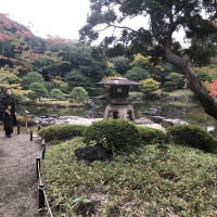 |4876| | Zahrady Tokio Kyu Furukawa