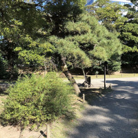 |4836| | Zahrady Tokio Hama Rikyu