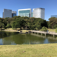 |4824| | Zahrady Tokio Hama Rikyu