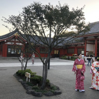 |5029| | Chrám Tokio Sensódži neboli Asakusa Kannon