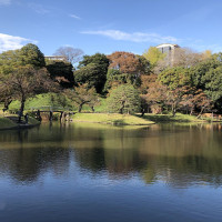|4923| | Zahrady Tokio Kyu-Shiba-Rikyu