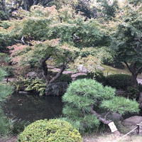 |4867| | Zahrady Tokio Kyu Furukawa