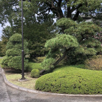 |4771| | Zahrada Tokio Imperial Palace - Císařský palác