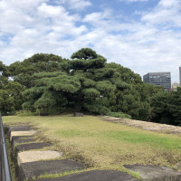 |4772| | Zahrada Tokio Imperial Palace - Císařský palác