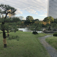 |4946| | Zahrady Tokio Kyu-Shiba-Rikyu