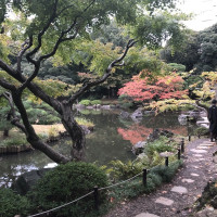 |4871| | Zahrady Tokio Kyu Furukawa
