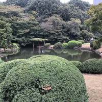 |5052| | Zahrady Tokio Shinjuku Gyoen