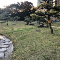 |4940| | Zahrady Tokio Kyu-Shiba-Rikyu