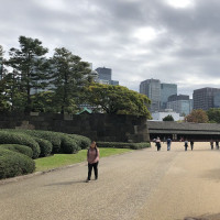 |4769| | Zahrada Tokio Imperial Palace - Císařský palác