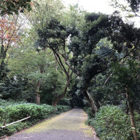 |5036| | Zahrady Tokio Shinjuku Gyoen