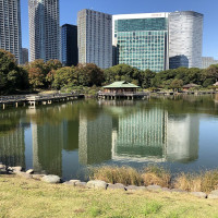 |4812| | Zahrady Tokio Hama Rikyu