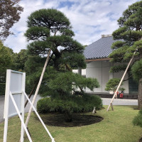|4766| | Zahrada Tokio Imperial Palace - Císařský palác