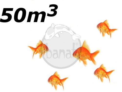 Jezírko s menším počtem ryb do 50 m3