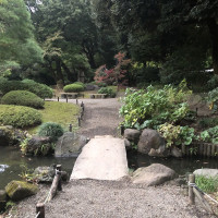|4877| | Zahrady Tokio Kyu Furukawa
