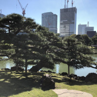 |4796| | Zahrady Tokio Hama Rikyu