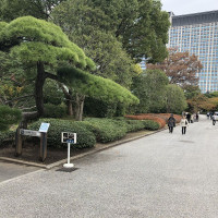 |4780| | Zahrada Tokio Imperial Palace - Císařský palác