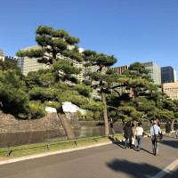 |4755| | Zahrada Tokio Imperial Palace - Císařský palác