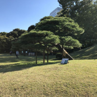 |4813| | Zahrady Tokio Hama Rikyu