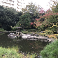 |4861| | Zahrady Tokio Kyu Furukawa