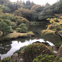 |4896| | Zahrady Tokio Kyu Furukawa