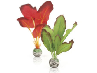 biOrb malá hedvábná rostlina zeleno - červený set