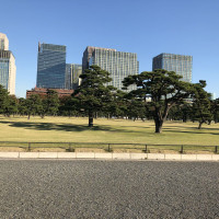 |4742| | Zahrada Tokio Imperial Palace - Císařský palác