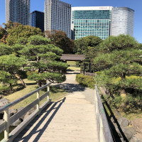 |4806| | Zahrady Tokio Hama Rikyu