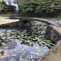 |4919| | Zahrady Tokio Kyu-Shiba-Rikyu