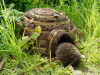 Domek pro ježky kulatý