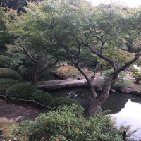 |4898| | Zahrady Tokio Kyu Furukawa