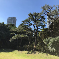 |4795| | Zahrady Tokio Hama Rikyu