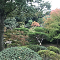 |4849| | Zahrady Tokio Kyu Furukawa