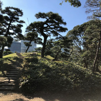 |4829| | Zahrady Tokio Hama Rikyu