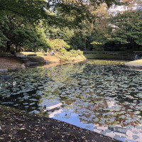 |4918| | Zahrady Tokio Kyu-Shiba-Rikyu