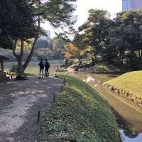 |4911| | Zahrady Tokio Kyu-Shiba-Rikyu