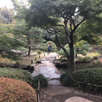 |4869| | Zahrady Tokio Kyu Furukawa