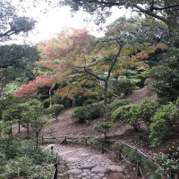 |4850| | Zahrady Tokio Kyu Furukawa