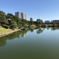 |4802| | Zahrady Tokio Hama Rikyu
