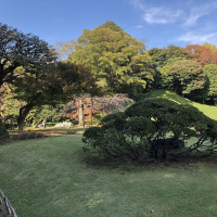 |4925| | Zahrady Tokio Kyu-Shiba-Rikyu