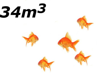 Jezírko s menším počtem ryb do 34m3