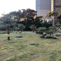 |4942| | Zahrady Tokio Kyu-Shiba-Rikyu