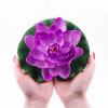 Fialový květ leknínu průměr 18 cm