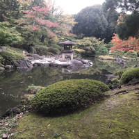 |4884| | Zahrady Tokio Kyu Furukawa