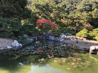 ||Zahrady Takamacu