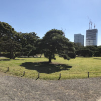 |4788| | Zahrady Tokio Hama Rikyu