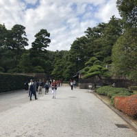 |4767| | Zahrada Tokio Imperial Palace - Císařský palác