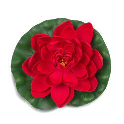 Červený květ leknínu průměr 18 cm
