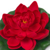Červený květ leknínu průměr 18 cm