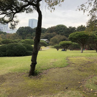 |5064| | Zahrady Tokio Shinjuku Gyoen